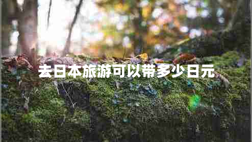 去日本旅游可以帶多少日元