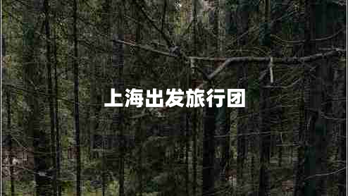 上海出發(fā)旅行團(tuán)