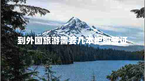 到外國旅游需要幾本護(hù)照簽證