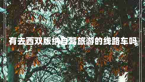 有去西雙版納自駕旅游的線路車(chē)嗎