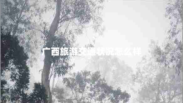 廣西旅游交通狀況怎么樣