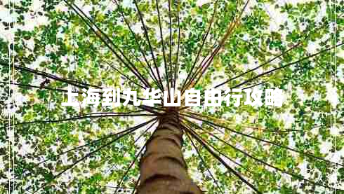上海到九華山自由行攻略 上海到九華山自由行攻略