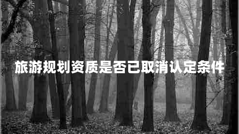 旅游規(guī)劃資質(zhì)是否已取消認(rèn)定條件
