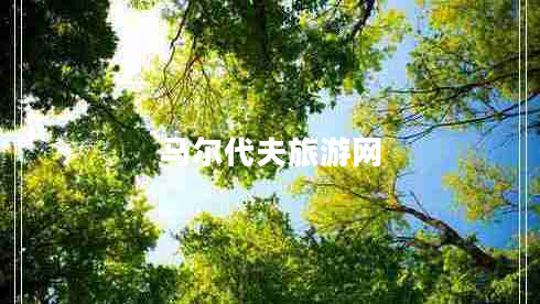 馬爾代夫旅游網(wǎng)