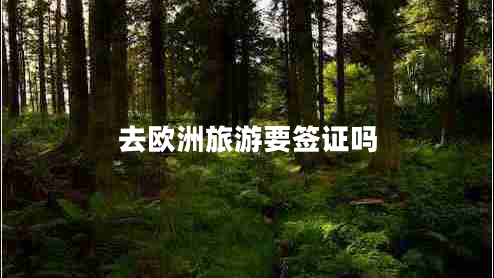 去歐洲旅游要簽證嗎 去歐洲旅游要簽證嗎