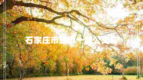 石家莊市旅游一路公交車(chē) 石家莊市旅游一路公交車(chē)