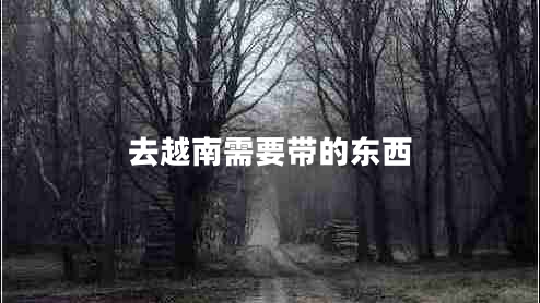 去越南需要帶的東西