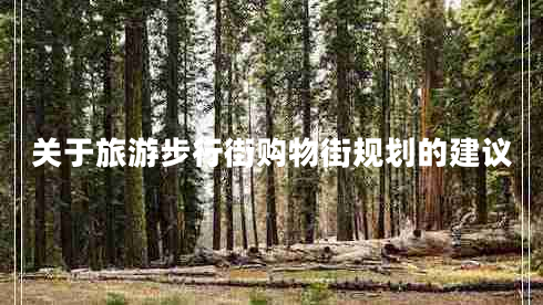 關(guān)于旅游步行街購(gòu)物街規(guī)劃的建議