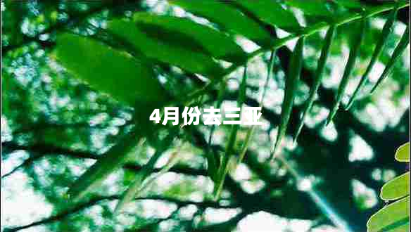 4月份去三亞