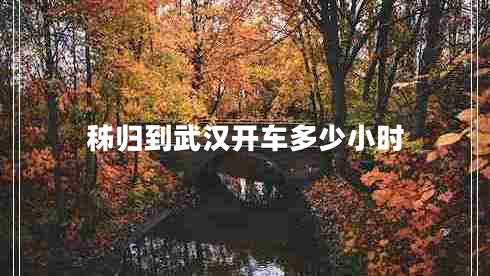 秭歸到武漢開(kāi)車多少小時(shí)