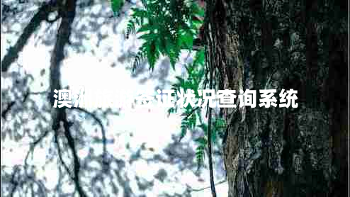 澳洲旅游簽證狀況查詢系統(tǒng) 澳洲旅游簽證狀況查詢系統(tǒng)