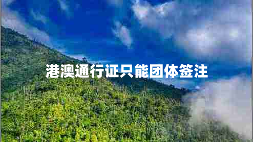 港澳通行證只能團體簽注