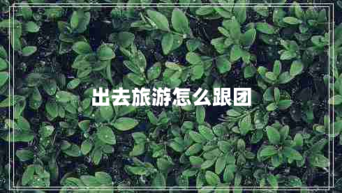 出去旅游怎么跟團(tuán)