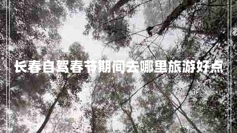 長春自駕春節(jié)期間去哪里旅游好點
