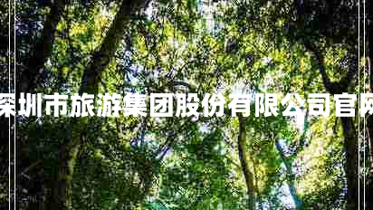 深圳市旅游集團(tuán)股份有限公司官網(wǎng)