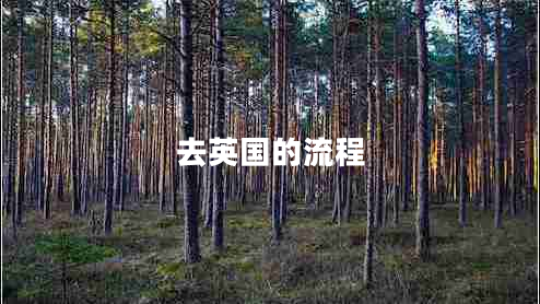 去英國(guó)的流程