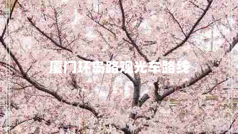 廈門環(huán)島路觀光車路線