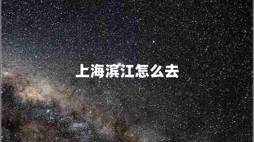 上海濱江怎么去 上海濱江怎么去