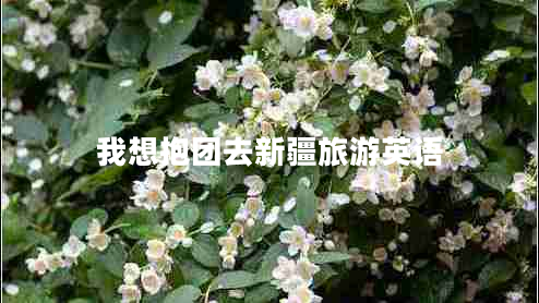 我想抱團去新疆旅游英語 我想抱團去新疆旅游英語