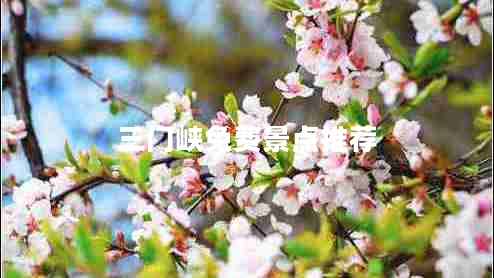 三門峽免費(fèi)景點(diǎn)推薦