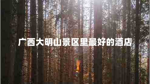 廣西大明山景區(qū)里最好的酒店