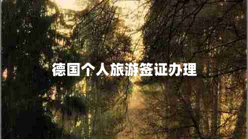 德國(guó)個(gè)人旅游簽證辦理