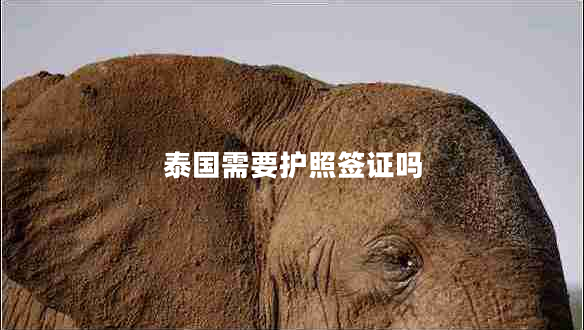 泰國需要護(hù)照簽證嗎