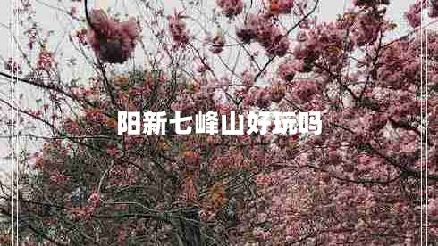 陽新七峰山好玩嗎 陽新七峰山好玩嗎