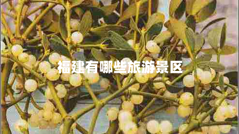 福建有哪些旅游景區(qū)