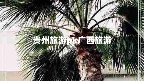 貴州旅游pk廣西旅游