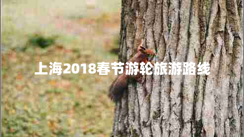 上海2018春節(jié)游輪旅游路線