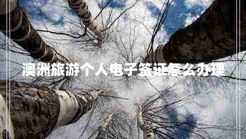 澳洲旅游個(gè)人電子簽證怎么辦理