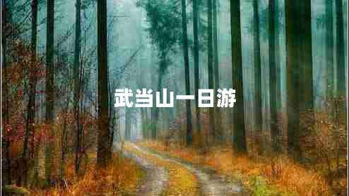 武當(dāng)山一日游 武當(dāng)山一日游