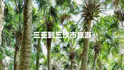 三亞到三沙市旅游