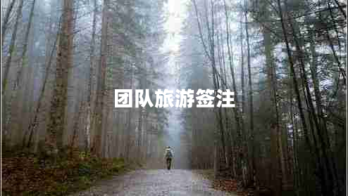 團(tuán)隊(duì)旅游簽注 團(tuán)隊(duì)旅游簽注