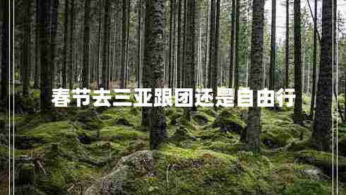 春節(jié)去三亞跟團(tuán)還是自由行 春節(jié)去三亞跟團(tuán)還是自由行