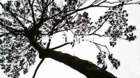 武安的旅游景點 武安的旅游景點