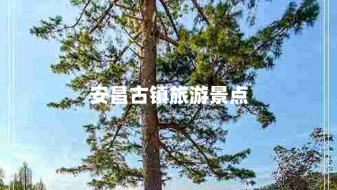 安昌古鎮(zhèn)旅游景點 安昌古鎮(zhèn)旅游景點