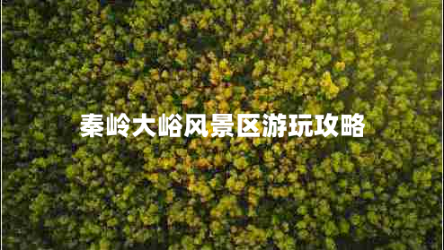 秦嶺大峪風景區(qū)游玩攻略