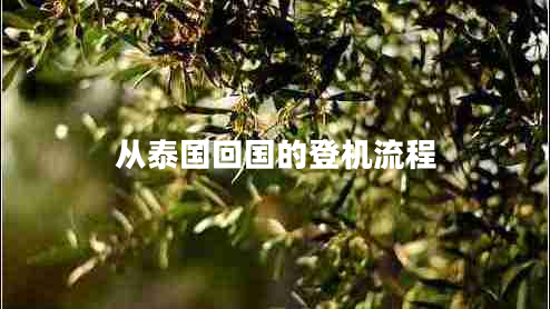 從泰國回國的登機流程 從泰國回國的登機流程