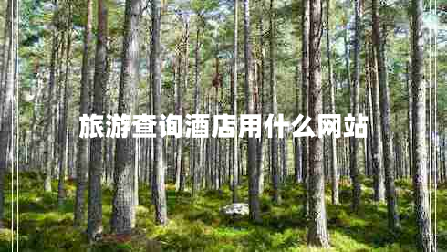 旅游查詢酒店用什么網(wǎng)站
