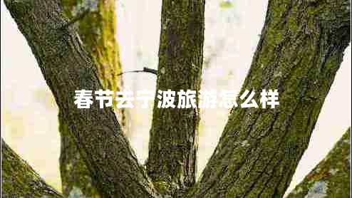 春節(jié)去寧波旅游怎么樣