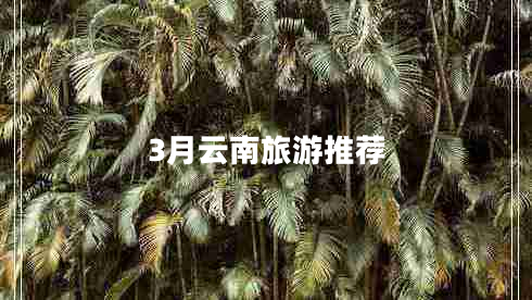3月云南旅游推薦