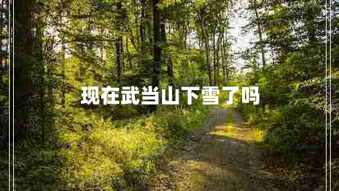 現(xiàn)在武當山下雪了嗎