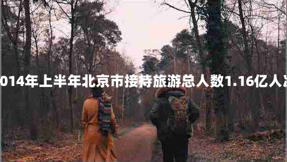 2014年上半年北京市接待旅游總?cè)藬?shù)1.16億人次