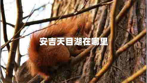 安吉天目湖在哪里 安吉天目湖在哪里