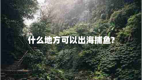 什么地方可以出海捕魚?