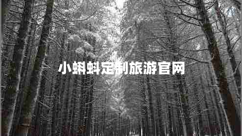小蝌蚪定制旅游官網