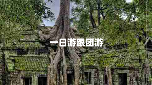 一日游跟團(tuán)游
