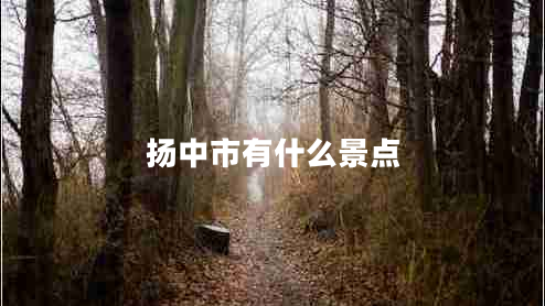 揚(yáng)中市有什么景點(diǎn)